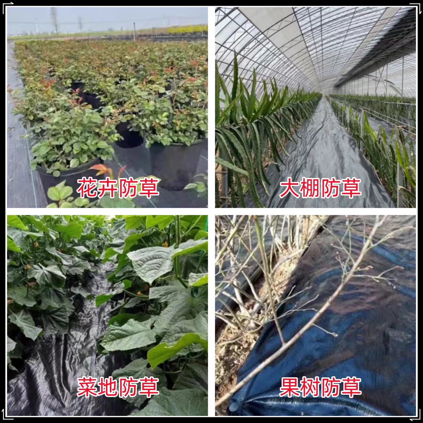 赣州市农用薄膜防草布 - 方案