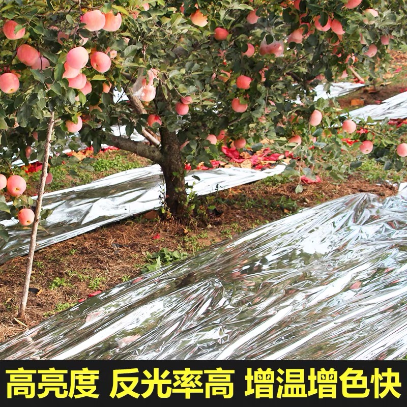赣州市货车苫盖膜果树反光膜 - 价格